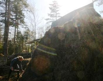 Making More Dirt: Compost Management Image